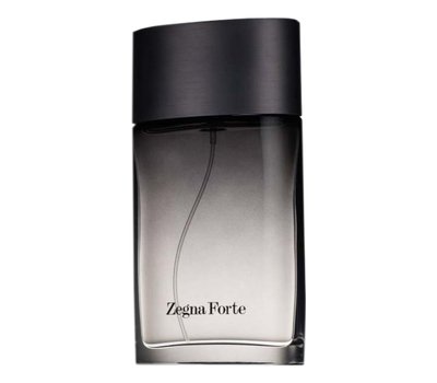 Ermenegildo Zegna Forte man 107320