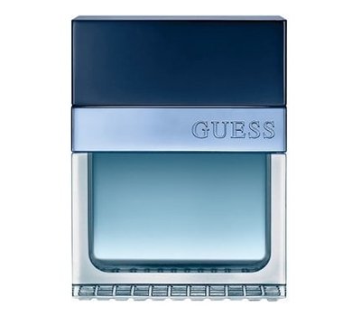 Guess Seductive Homme Blue