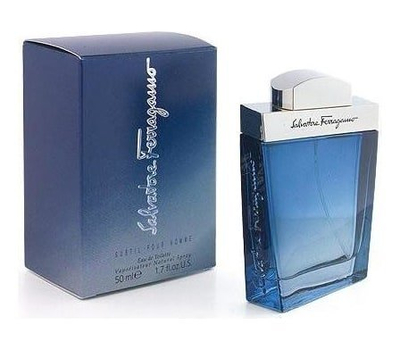 Salvatore Ferragamo Subtil for men