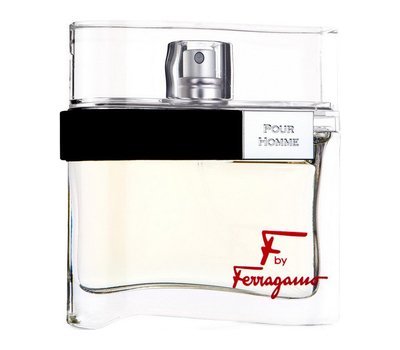 Salvatore Ferragamo F By Ferragamo Pour Homme