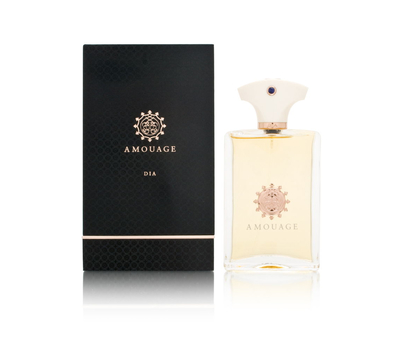 Amouage Dia for men 148875