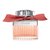 Chloe Roses De Chloe